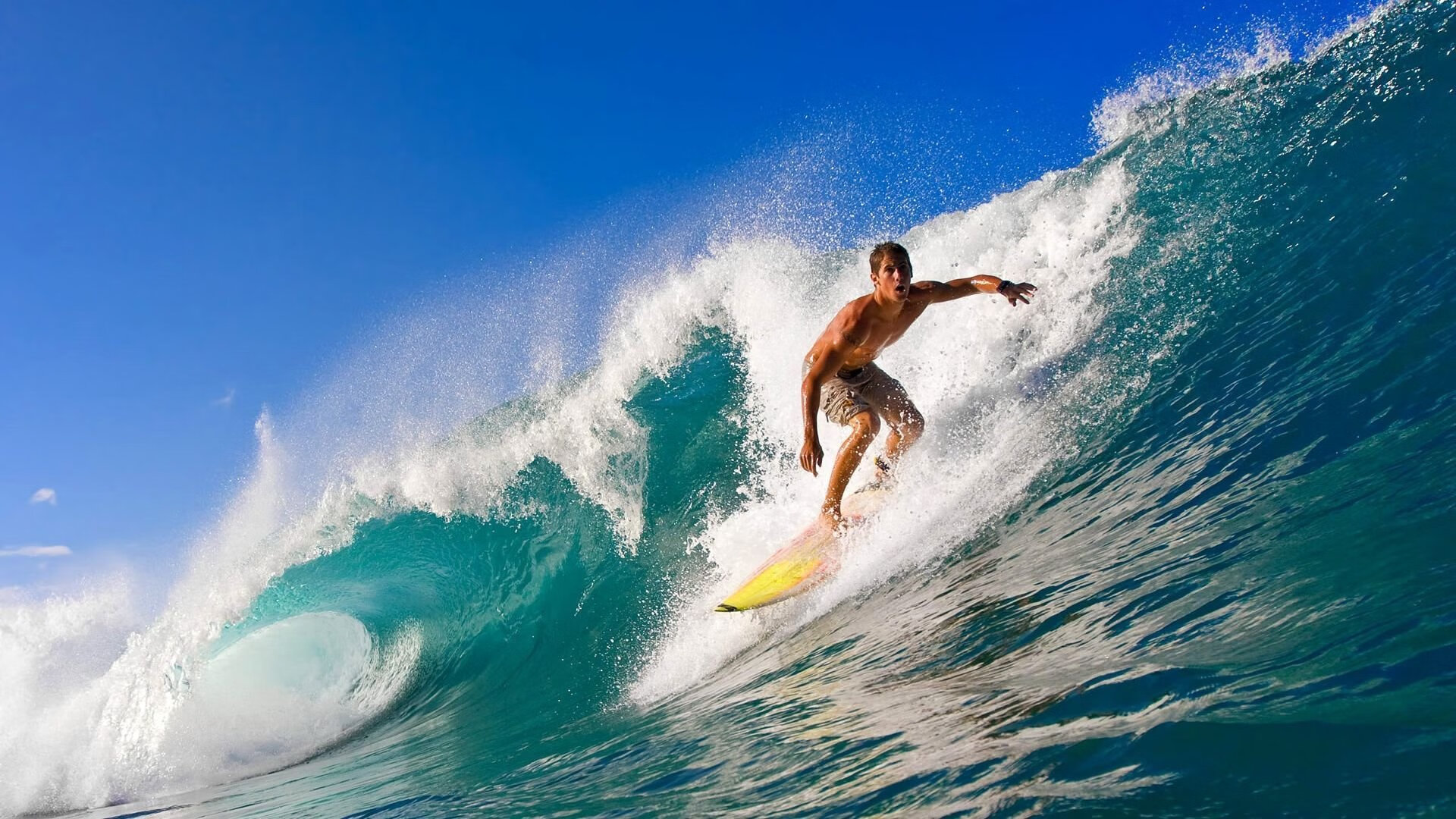 冠军球队主场改造计划公布，设施更现代化，冠军球场怎么样