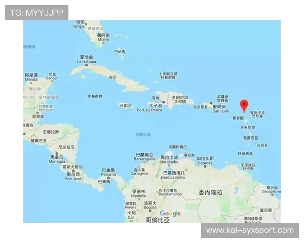 安提瓜青少年滑板比赛圆满结束，安提瓜的华人生活